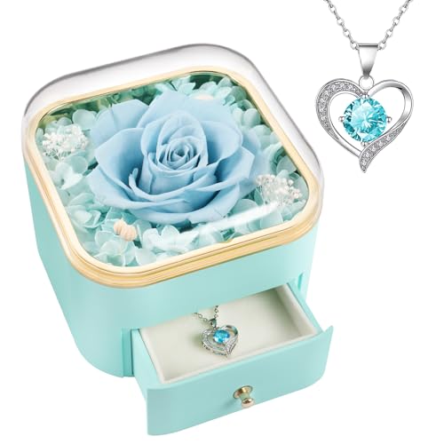 Beferr Gifts for Mom Preserved Real Rose with Necklace Eternal Roses Forever Flowers for Delivery Anniversary Birthday Mothers Day Flower Gifts for Women Her Grandma Wife Daughter Girlfriend - Image 1