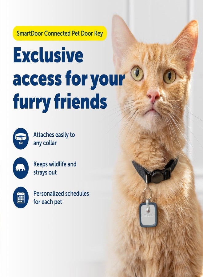 بيت سيف مفتاح باب الحيوانات الأليفة الذكي المتصل من PetSafe SmartDoor - يوفر وصولاً ذكياً وشخصياً لكلابك وقططك مع منع دخول الحيوانات الضالة والبرية - متوافق مع باب الحيوانات الأليفة الذكي المتصل من SmartDoor - صغير الحجم - Image 2