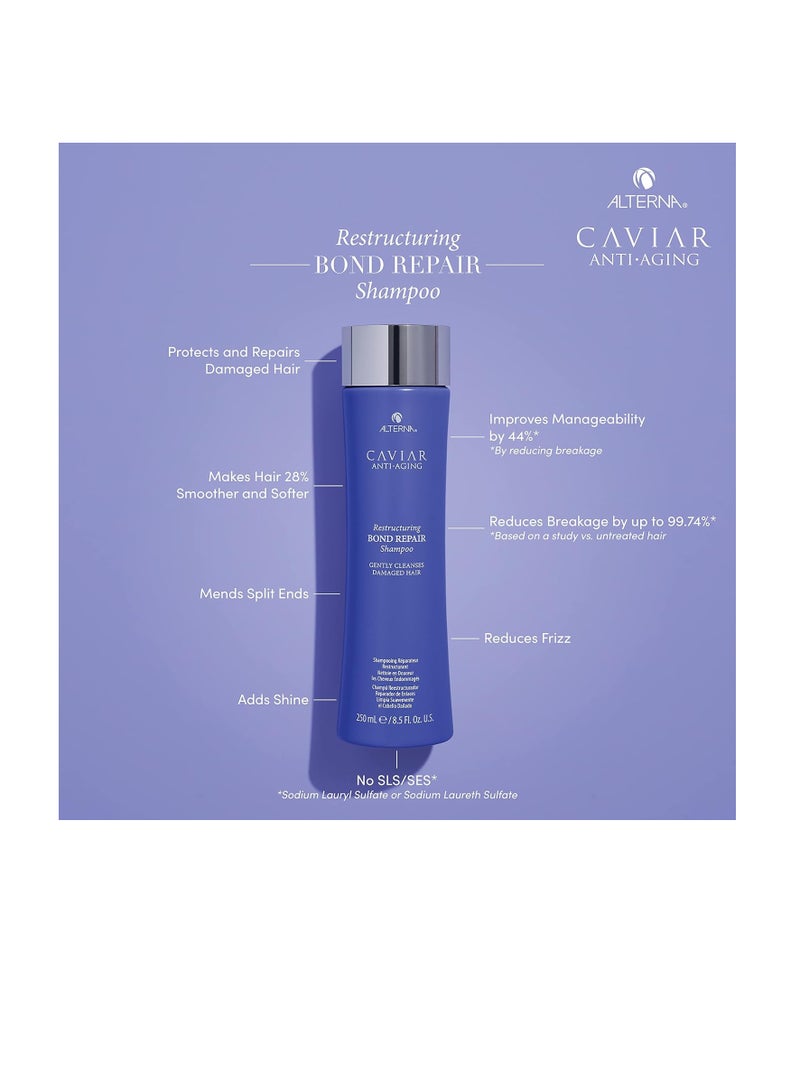 ألترنا شامبو الكافيار لإصلاح الروابط المضادة للشيخوخة، 8.5 أونصة سائلة (عبوة من قطعة واحدة) - Image 2