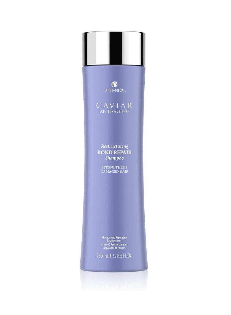ألترنا شامبو الكافيار لإصلاح الروابط المضادة للشيخوخة، 8.5 أونصة سائلة (عبوة من قطعة واحدة) - Image 1
