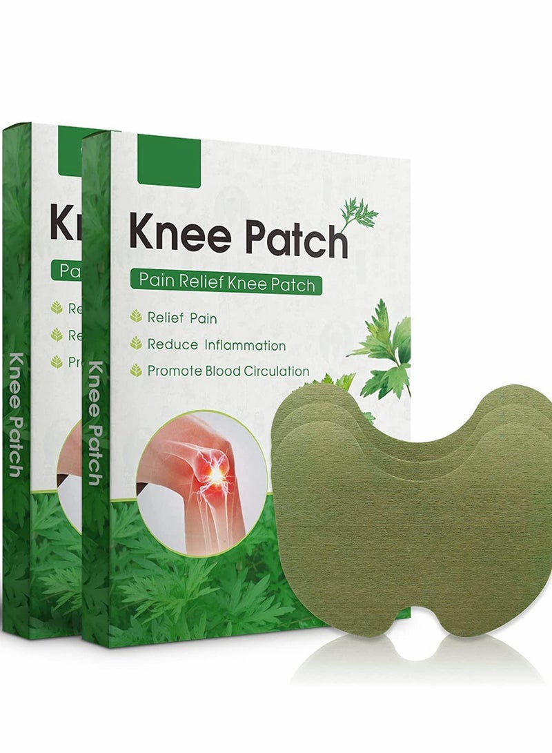 Generic 48 Pcs Herbal Heat Patches for Knee Pain Relief - Long Lasting Warming Plaster for Joint Inflammation  - Image 1