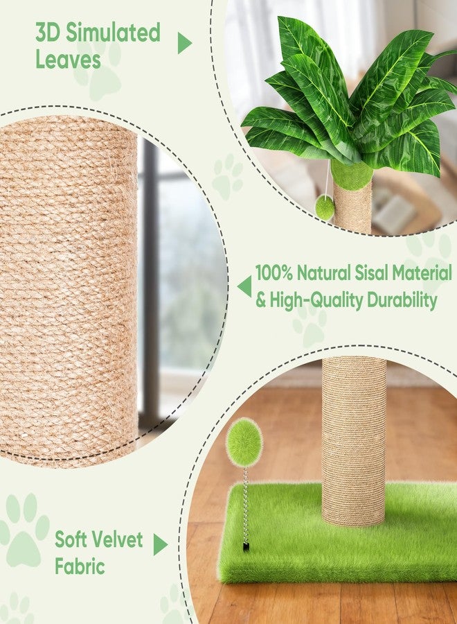 XiaZ Cat Scratching Post 34'' Tall, Cat Scratchers Tree Tower for Indoor Kitty with Extra Wide 15.8" Stable Base and 2 Toy Balls, Natural Sisal & Plush Fabric for Small, Medium Cats (Green, 2.8in) - Image 4
