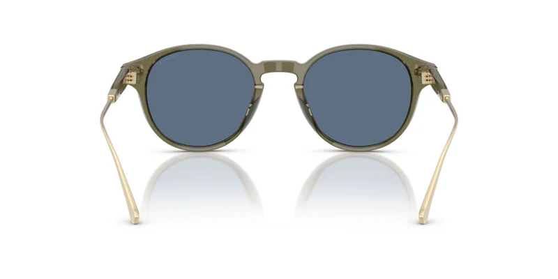 COACH Coach Man Acetate Sunglasses