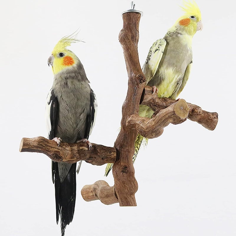 Allazone 6 PCS Bird Perch Natural with Chewing Toys Natural Grapevine Bird Stand Grape Stick Natural Bird Parrot Perch Standfor Parrots, Parakeets Cockatiels, Conures, Macaws, Love Birds - Image 4