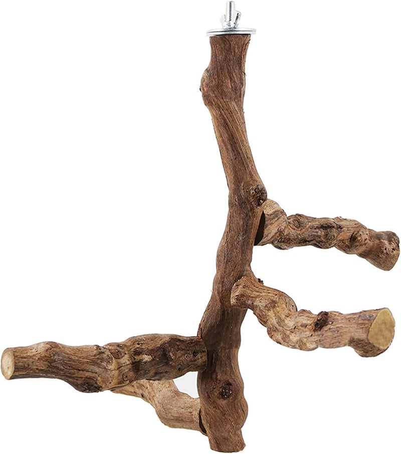 Allazone 6 PCS Bird Perch Natural with Chewing Toys Natural Grapevine Bird Stand Grape Stick Natural Bird Parrot Perch Standfor Parrots, Parakeets Cockatiels, Conures, Macaws, Love Birds - Image 5