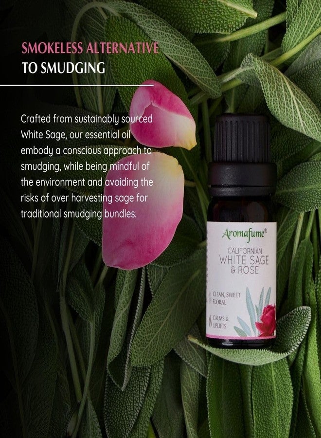 Aromafume White Sage & Rose Essential Oil Diffuser Blend by Aromafume | 3x10ml/0.33 fl oz | Aromatherapy Oil for Cleansing Negative Energy & Protection | Ethically sourced | Sage Oil for Smokeless Smudging - Image 2