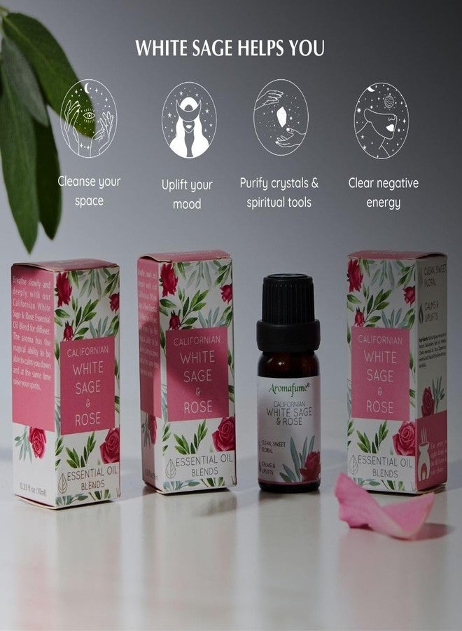 Aromafume White Sage & Rose Essential Oil Diffuser Blend by Aromafume | 3x10ml/0.33 fl oz | Aromatherapy Oil for Cleansing Negative Energy & Protection | Ethically sourced | Sage Oil for Smokeless Smudging - Image 3