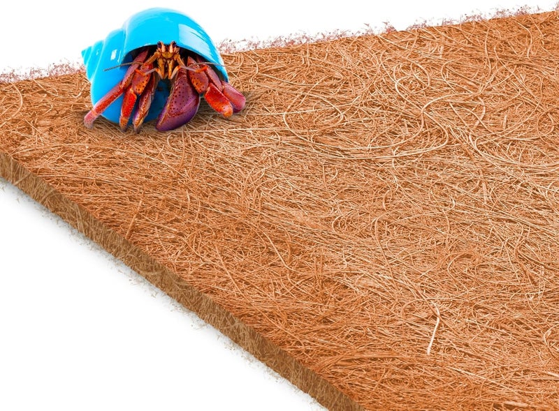 SunGrow Coco Fiber Hermit Crab & Reptile Carpet, Gecko Terrarium Liner, and Floor Bedding Substrate & Supplies, Climbing Wall Carpet & Mat for Hermit Crabs, 10" x 13", 1 Piece Per Pack - Image 1