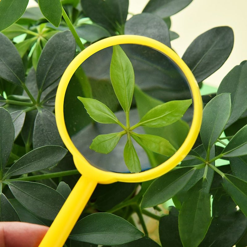 36 Pcs Magnifying Glass Handheld Magnifier Colorful Plastic Magnifying Glasses For Science Class Outdoor Exploration Party Favors Reading Gifts - Image 5