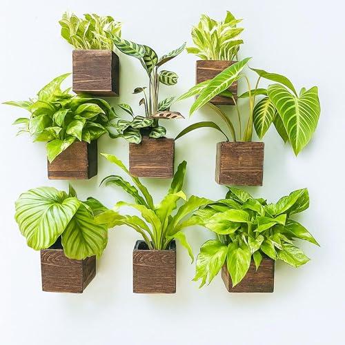 LáLáGreen LaLaGreen Wood Planter Boxes for Plants (4x4 Inch, 8 Pack) Small Square Wall Mounted Planters for Indoor Plant, Herb Wooden Box Hanging Flower Pot Plant Holder Outdoor Fence Vertical Garden Home Decor - Image 1
