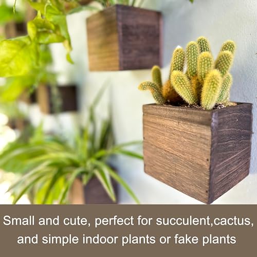 LáLáGreen LaLaGreen Wood Planter Boxes for Plants (4x4 Inch, 8 Pack) Small Square Wall Mounted Planters for Indoor Plant, Herb Wooden Box Hanging Flower Pot Plant Holder Outdoor Fence Vertical Garden Home Decor - Image 4
