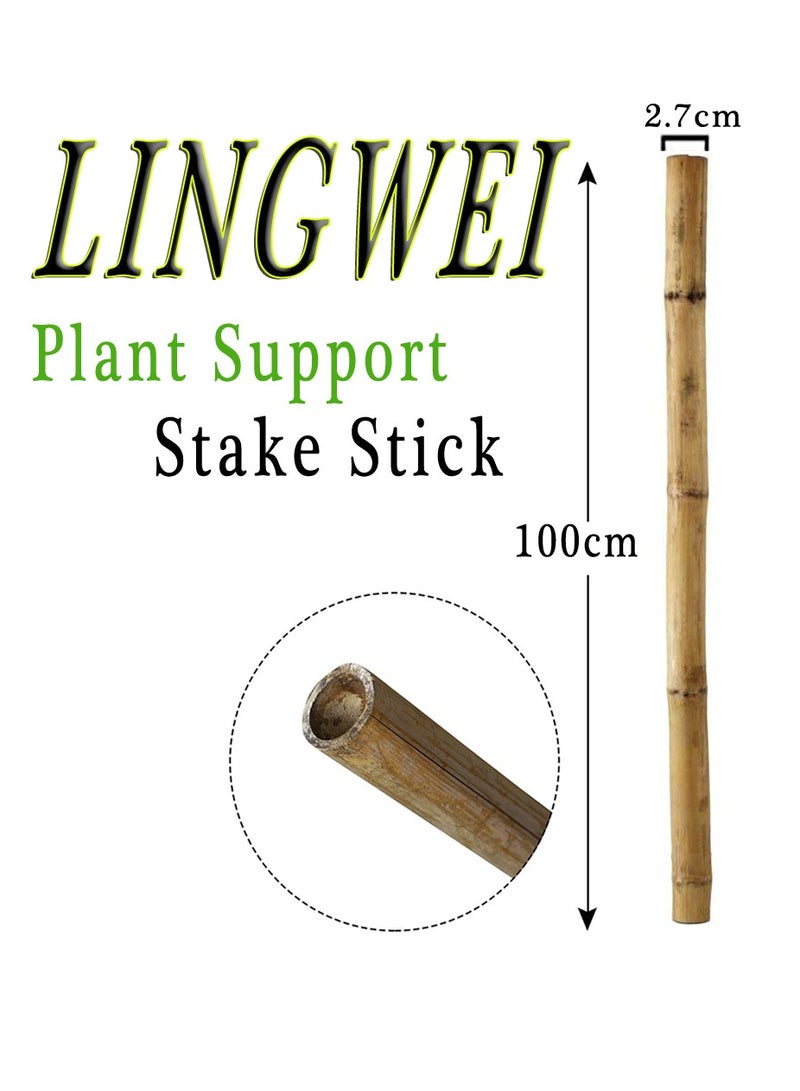 LINGWEI 10 pcs Bamboo Poles Natural Bamboo Plant Stakes - Image 4