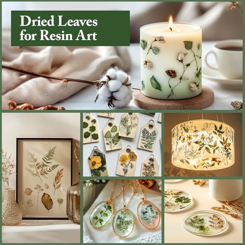 DALARAN 42 PCS Dried Flowers for Craftsl Dried Pressed Leaves Natural Leaves for Pressed Leaf Art Craft DIY ,14 Styles - Image 5