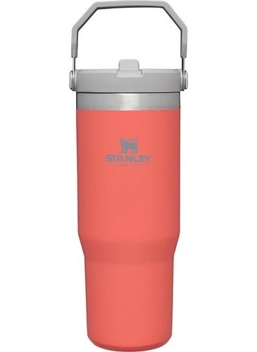 The IceFlow Flip Straw Thermos Cup with Straw 0.89 LT Light Coral - pzsku/Z2B35C1F65D9E81BE1775Z/45/_/1729211174/14a3a31f-7a9d-4178-b7a0-5c19d8875ef9