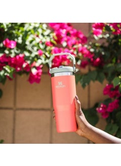 The IceFlow Flip Straw Thermos Cup with Straw 0.89 LT Light Coral - pzsku/Z2B35C1F65D9E81BE1775Z/45/_/1729211175/03856d86-9891-44a2-9f54-1405c49d3a15