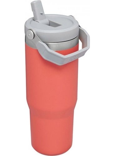 The IceFlow Flip Straw Thermos Cup with Straw 0.89 LT Light Coral - pzsku/Z2B35C1F65D9E81BE1775Z/45/_/1729211176/ab3d65fc-7305-4c41-b700-4bb892c72201