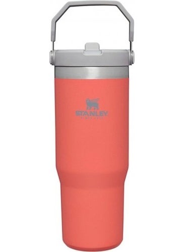 The IceFlow Flip Straw Thermos Cup with Straw 0.89 LT Light Coral - pzsku/Z2B35C1F65D9E81BE1775Z/45/_/1729211177/83efafa7-1ba7-4087-aa17-3d41b8bfa0ba