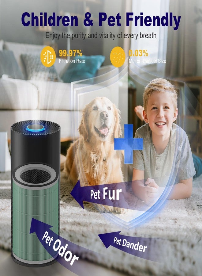 PETOX 2 Pack True HEPA Kilo Pet Care Filter Replacement Compatible with Afloia Kilo, KILOPLUS, KILOPRO, MIRO, MIRO PRO and MORENTO MR-Kilo, Kalo Air Purifier, 360° 3-Stage Filtration, Green - Image 4