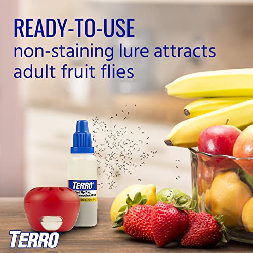 Terro Fruit Fly Traps for Indoors (12 Pack) + 540 Days of Lure Supply - Image 3