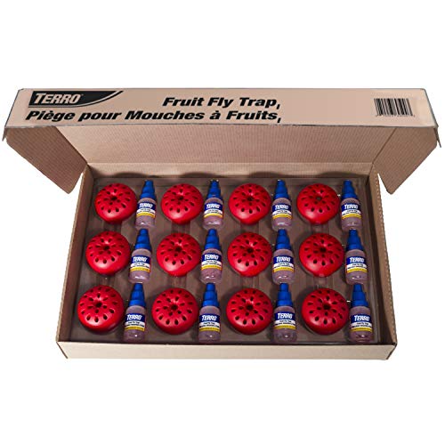 Terro Fruit Fly Traps for Indoors (12 Pack) + 540 Days of Lure Supply - Image 1