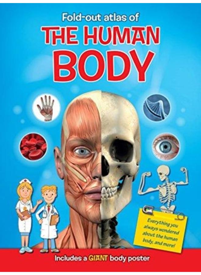 MY FOLD OUT ATLAS HUMAN BODY 