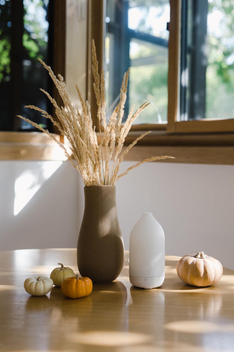 doTERRA Laluz Diffuser - Image 2