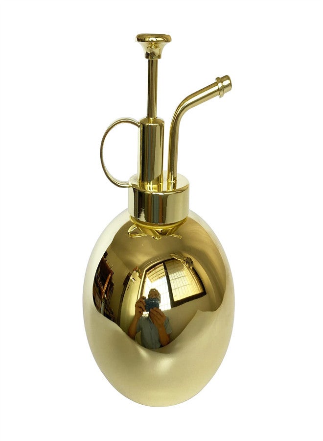 KASTWAVE Plant Spray Bottle, Stainless Steel Plant Sprayer, Retro Gold Watering Misting Small Spray Bottle, Modern Gardening Tools for Indoor Potted Plants Watering and Spraying - Image 1