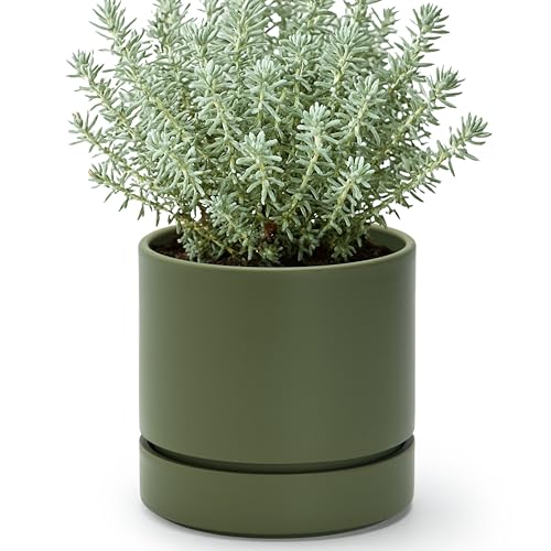 Phoenix Vine 6 Inch Planter Pot with Drainage Hole & Saucer, Deep Water Catch Tray, Straight Cylindrical Round Pot for Plants, Olive, Pack of 1, 23-F-S-1 - Image 1