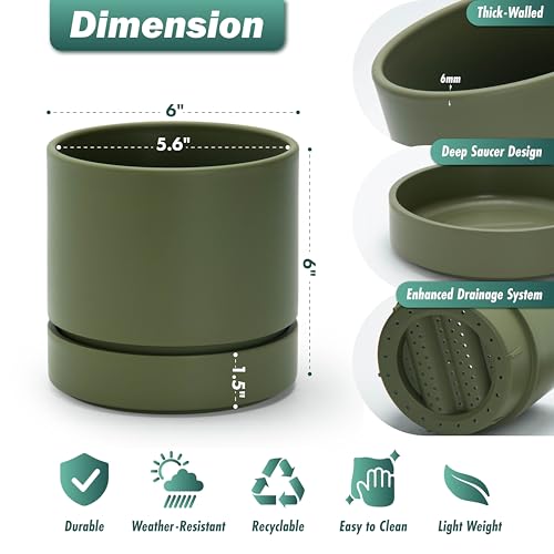 Phoenix Vine 6 Inch Planter Pot with Drainage Hole & Saucer, Deep Water Catch Tray, Straight Cylindrical Round Pot for Plants, Olive, Pack of 1, 23-F-S-1 - Image 3
