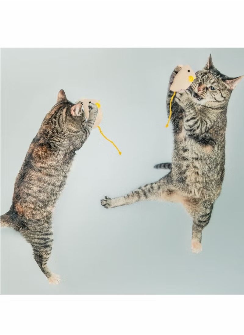 null - Catnip Toys for Cat, 9 Pcs Interactive Cat Toy Pet Teeth Cleaning Soft Plush Realistic Cute Mouse Colorful Chew Toys with String Tails Indoor Cats Play Bite, Random style - Image 1