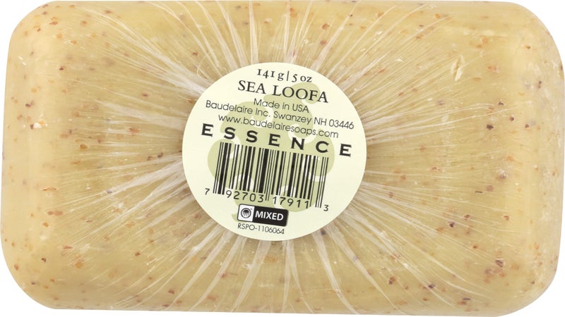 Baudelaire Essence Hand Soap Sea Loofah - 5 Oz - Image 2