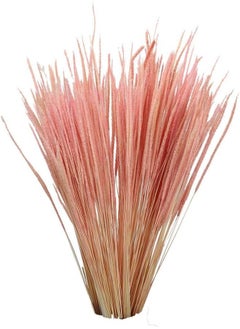 Yatai Pack Of 4 Natural Dried Feather Grass Flowers Spray Preserved Flower Wholesale Dried Pampas Reed Grass Stems For Centerpieces Festival Ornament Party Indoor Flowers Decoration (Pink) - pzsku/Z2B41F8B1E461806CE0E5Z/45/_/1716820379/fed83fd0-559f-400b-ab13-bdb77cfb2973