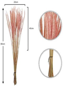 Yatai Pack Of 4 Natural Dried Feather Grass Flowers Spray Preserved Flower Wholesale Dried Pampas Reed Grass Stems For Centerpieces Festival Ornament Party Indoor Flowers Decoration (Pink) - pzsku/Z2B41F8B1E461806CE0E5Z/45/_/1716820380/9e56e273-b19a-494b-9e1a-7201f140a1c7