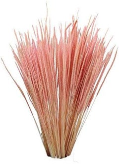 Yatai Pack Of 4 Natural Dried Feather Grass Flowers Spray Preserved Flower Wholesale Dried Pampas Reed Grass Stems For Centerpieces Festival Ornament Party Indoor Flowers Decoration (Pink) - pzsku/Z2B41F8B1E461806CE0E5Z/45/_/1716820381/3b700a1a-4a62-47a5-89ec-11aed4555e4d