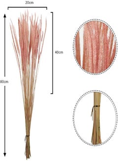 Yatai Pack Of 4 Natural Dried Feather Grass Flowers Spray Preserved Flower Wholesale Dried Pampas Reed Grass Stems For Centerpieces Festival Ornament Party Indoor Flowers Decoration (Pink) - pzsku/Z2B41F8B1E461806CE0E5Z/45/_/1716820382/b4cbb01c-695f-441c-b44a-e58d27567943