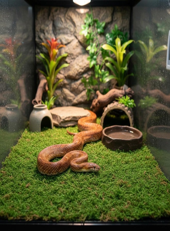 Breling 4 Pcs Reptile Carpet Natural Moss Terrarium Bedding 12'' x 12'' Reptile Habitat Mat Moisture Retaining Substrate Liner for Bearded Dragon Lizard Tortoise Snake Leopard Gecko Tank Accessories - Image 5