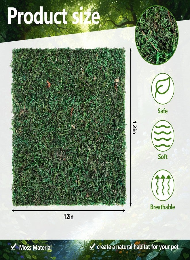 Breling 4 Pcs Reptile Carpet Natural Moss Terrarium Bedding 12'' x 12'' Reptile Habitat Mat Moisture Retaining Substrate Liner for Bearded Dragon Lizard Tortoise Snake Leopard Gecko Tank Accessories - Image 2