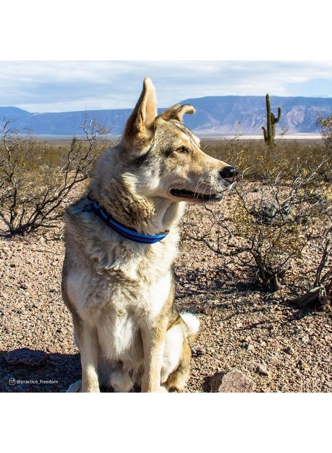 كوستال طوق كلب Coastal Pet K9 Explorer عاكس قابل للتعديل - طوق مريح للأنشطة الخارجية - ملحق متين وخفيف الوزن مع مشبك جانبي - أزرق ياقوتي، 5/8 بوصة × 10-14 بوصة - Image 2