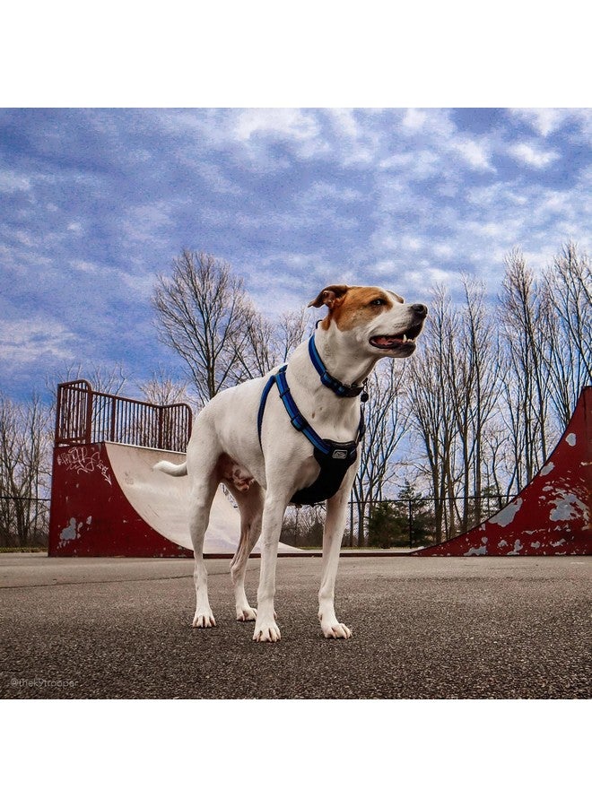 كوستال طوق كلب Coastal Pet K9 Explorer عاكس قابل للتعديل - طوق مريح للأنشطة الخارجية - ملحق متين وخفيف الوزن مع مشبك جانبي - أزرق ياقوتي، 5/8 بوصة × 10-14 بوصة - Image 4