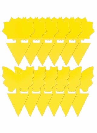 Sticky Fruit Fly Trap and Fungus Gnat Traps Killer - pzsku/Z2B433E7EDD08B9E40BE1Z/45/_/1664183576/f46fafa9-8103-411f-8267-fbfa859eb91a