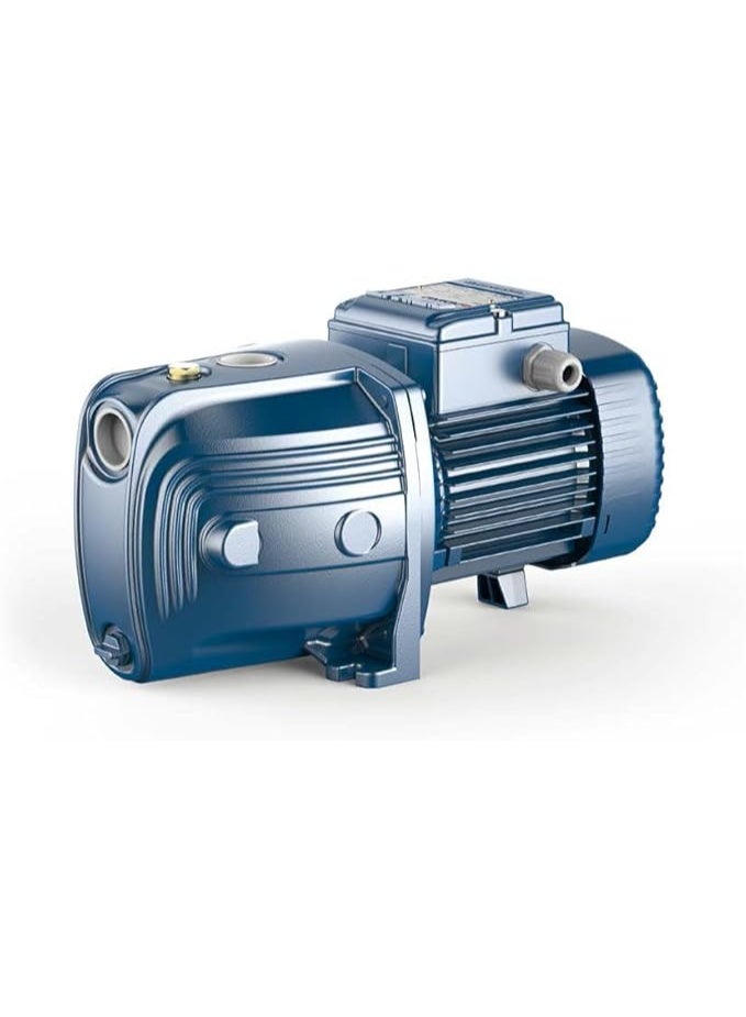 Pedrollo 1 HP Self-Priming Water Pump - Image 1