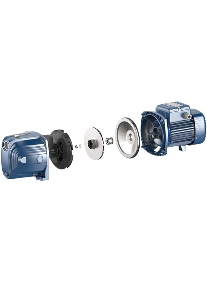 Pedrollo 1 HP Self-Priming Water Pump - Image 2
