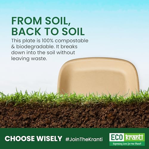 Eco Kranti – 6 Inch Bagasse Disposable Square Plates | Pack of 50 | Eco-Friendly, Biodegradable & Compostable | 100% Natural Plant-Based | Long Lasting Plates for Birthday, Wedding, Party & All Events - Image 4