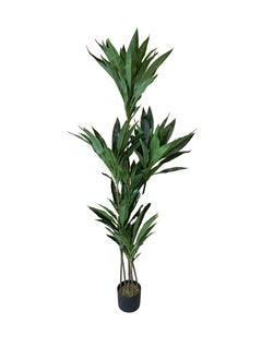Garden Oasis Landscaping Artificial Dracaena Plant 1.6 Meters – Artificial Tree with Plastic Pot – Plants for Home Indoor – Artificial Tree Outdoor – Fake Plants for Balcony – Artificial Plants Outdoor  - Image 1