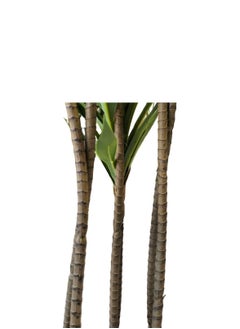 Garden Oasis Landscaping Artificial Dracaena Plant 1.6 Meters – Artificial Tree with Plastic Pot – Plants for Home Indoor – Artificial Tree Outdoor – Fake Plants for Balcony – Artificial Plants Outdoor  - Image 2