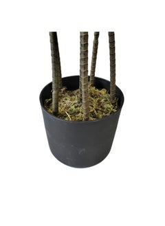 Garden Oasis Landscaping Artificial Dracaena Plant 1.6 Meters – Artificial Tree with Plastic Pot – Plants for Home Indoor – Artificial Tree Outdoor – Fake Plants for Balcony – Artificial Plants Outdoor  - Image 3