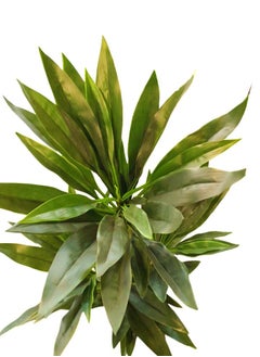 Garden Oasis Landscaping Artificial Dracaena Plant 1.6 Meters – Artificial Tree with Plastic Pot – Plants for Home Indoor – Artificial Tree Outdoor – Fake Plants for Balcony – Artificial Plants Outdoor  - Image 4
