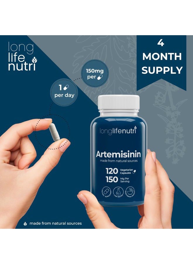 LongLifeNutri Artemisinin 150mg - 120 Vegetarian Capsules | Made in USA | 4 Months Supply | Pure Sweet Wormwood Extract 150 mg Super Complex Powder Pill - Image 5