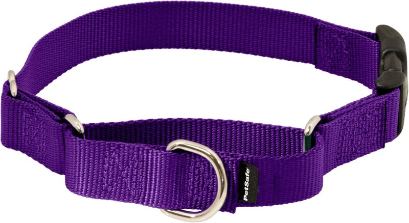 PetSafe Martingale Dog Collar with Quick Snap Buckle, 3/4" Medium, Deep Purple - Image 1