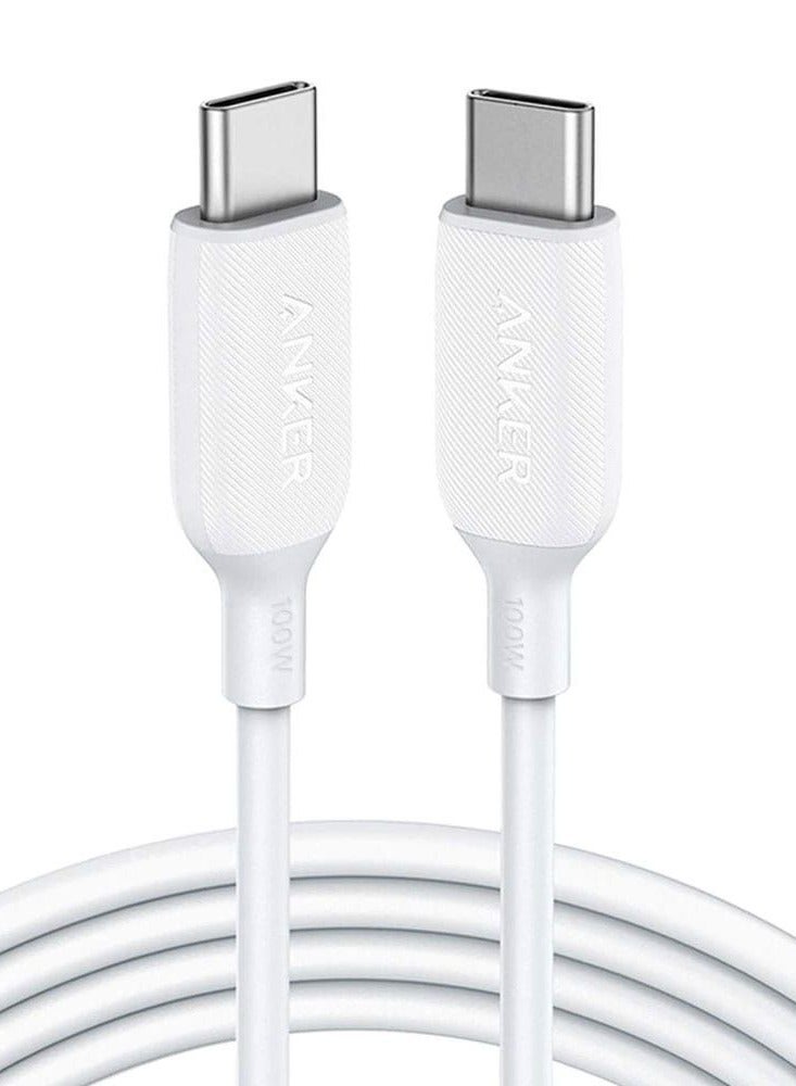 Anker PowerLineIII USB-C to USB-C 100W 2Cable 6ft B2B, White